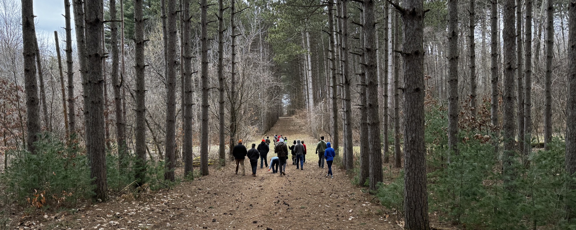 Trail Life Troop MI-0109 walking together along a trail through tall pine trees